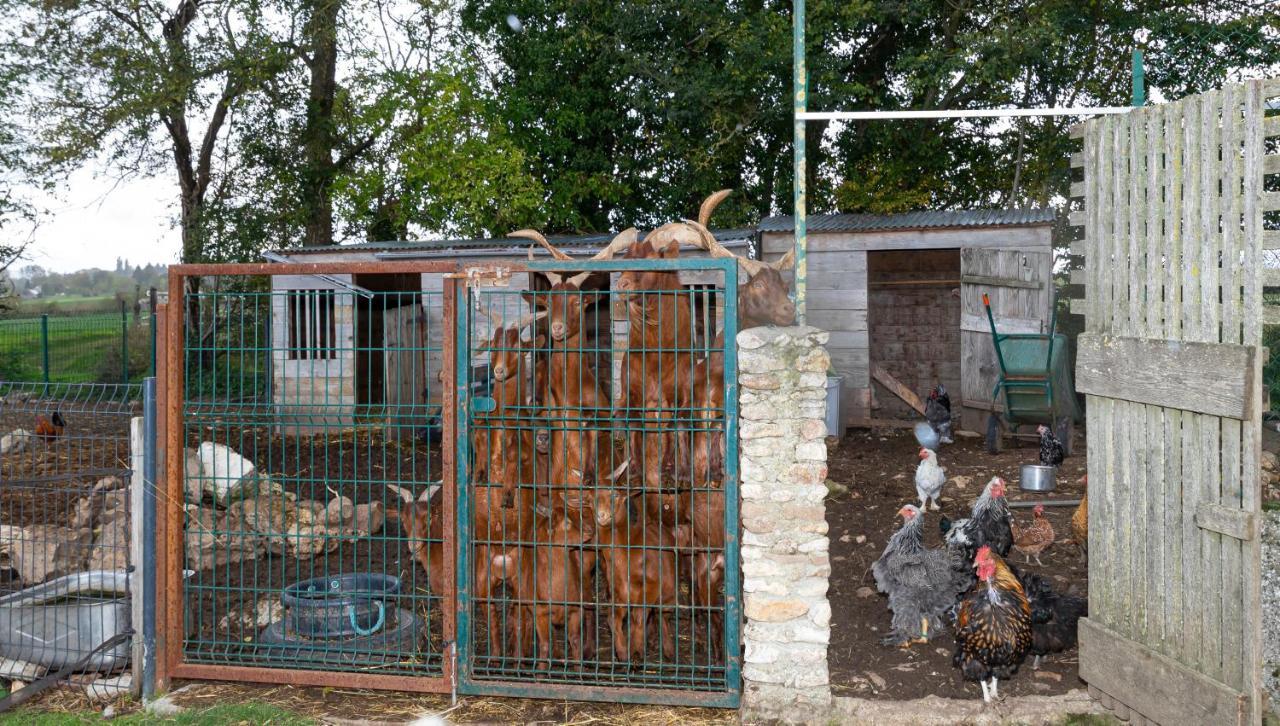 Ferienwohnung La Ferme Des Nonains Montjavoult Exterior foto